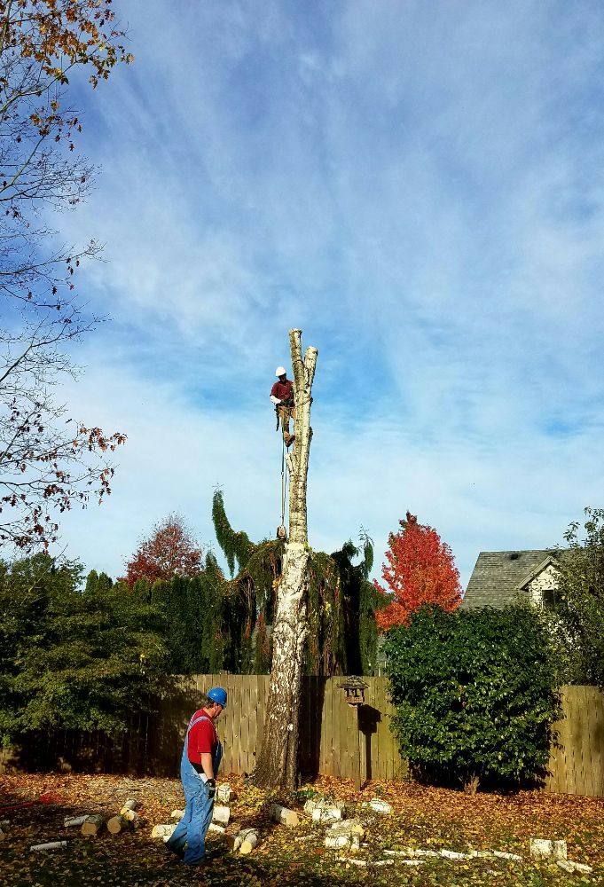 Cutting Edge Tree Service