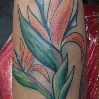 trigger happy tattoo 40 photos u0026 72 reviews tattoo 704 e trigger happy tattoo 40 photos u0026 72 reviews tattoo 704 e
