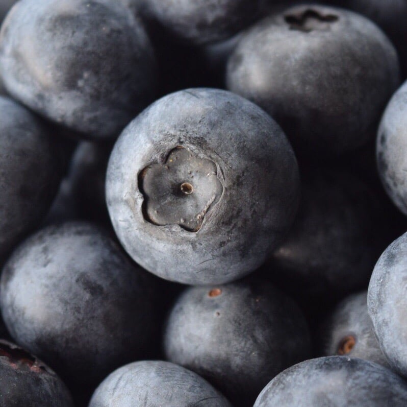 Kernodle's Blueberry Farm