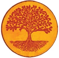 Clinique Shanti