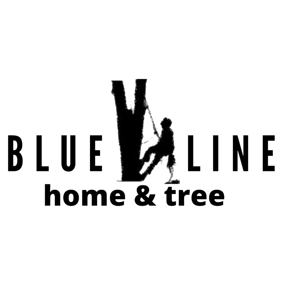 image of business Blue Line Home & Tree
