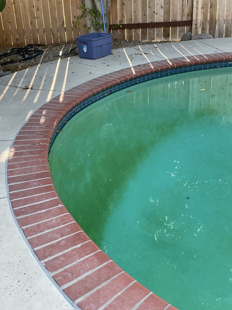 Bob Your Pool Guy