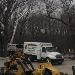 Tree & Land Masters