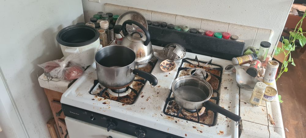 EcoBright Cleaning Service