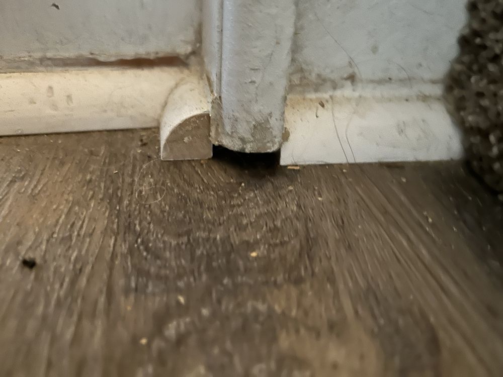 image of business Cherokee Floor Covering