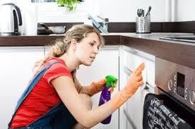 Lavish Life Cleaning Services
