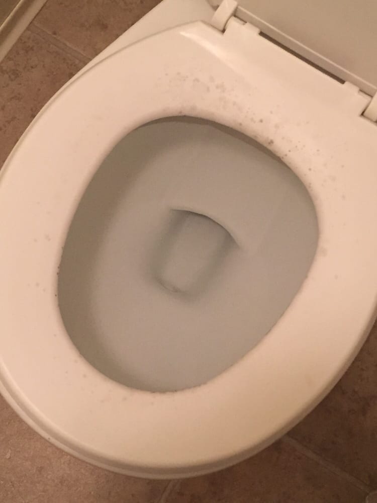 Mold on the toilet seat after we cleaned it. - Yelp Mold on the toilet seat after we cleaned it. - Yelp