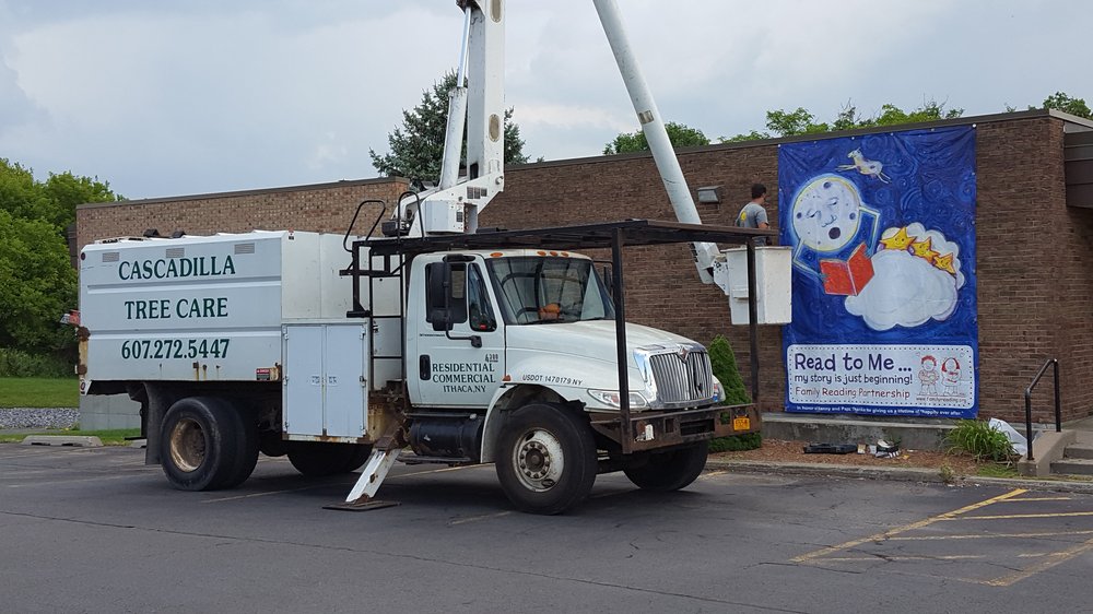 Cascadilla Tree Care Of Ithaca