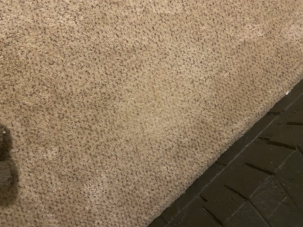 Chem-Dry of Chapel Hill-Durham