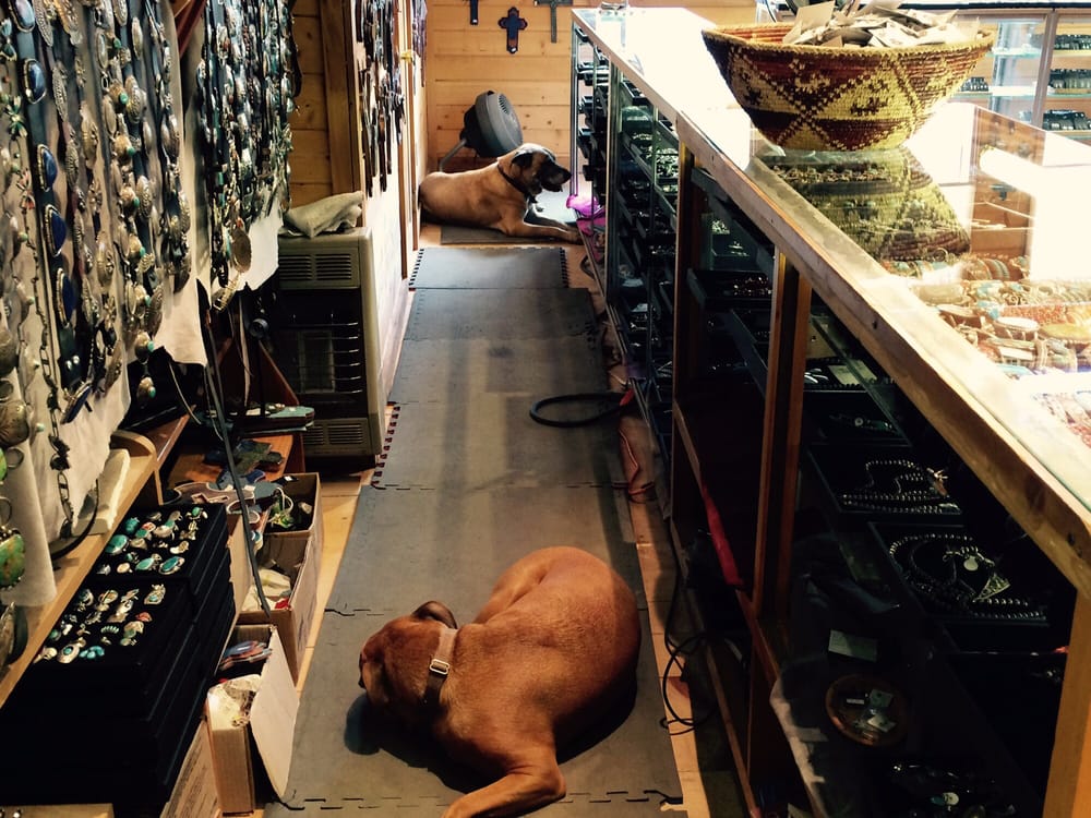 Photos for Bobcat Gift Shop Yelp