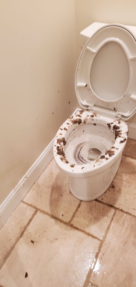 Chris' Carpet Service and Water Restoration