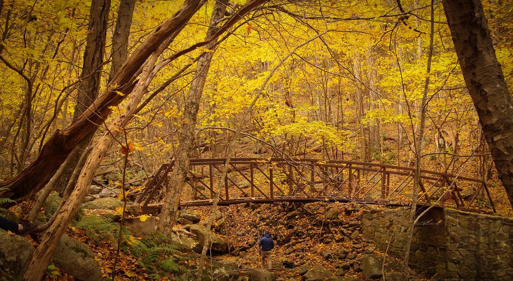 Scott Turnmeyer Photography