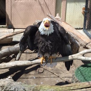 moorpark college zoo