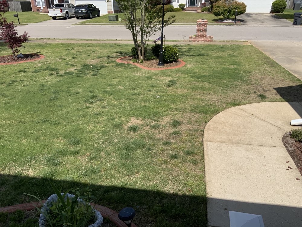 TruGreen Lawn Care