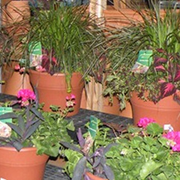Jim Jenkins Lawn Garden Center Nurseries Gardening 1877 United Photo Of Jim Jenkins Lawn Garden Center Upper Saint Clair Pa