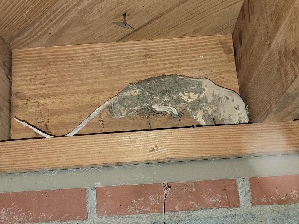 GTL Home Inspections