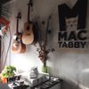 Mac Tabby