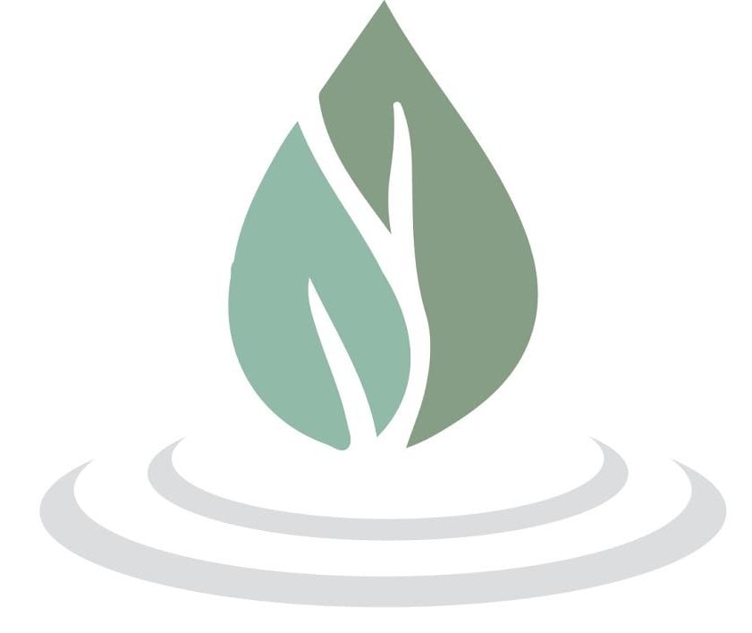 Wellness Touch Logo