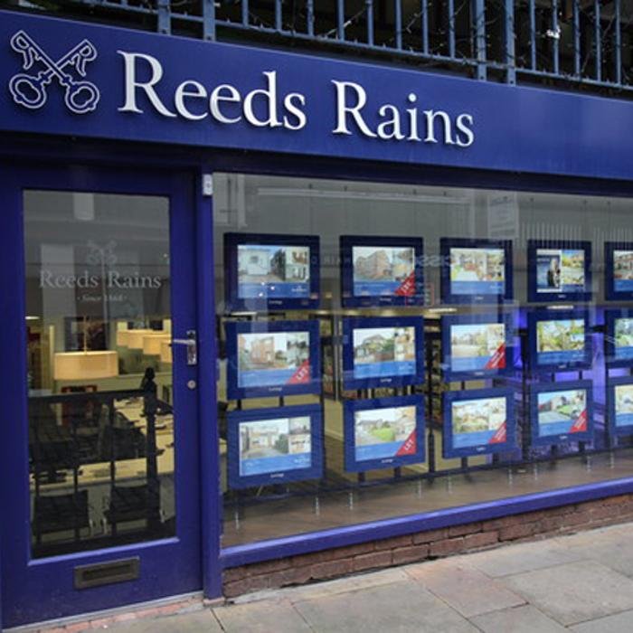 Reeds Rains