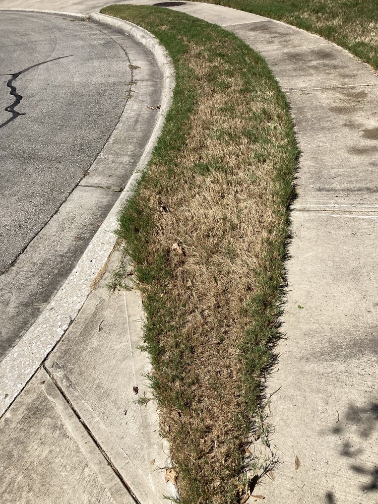 Real Green Lawn Care and Pest Control