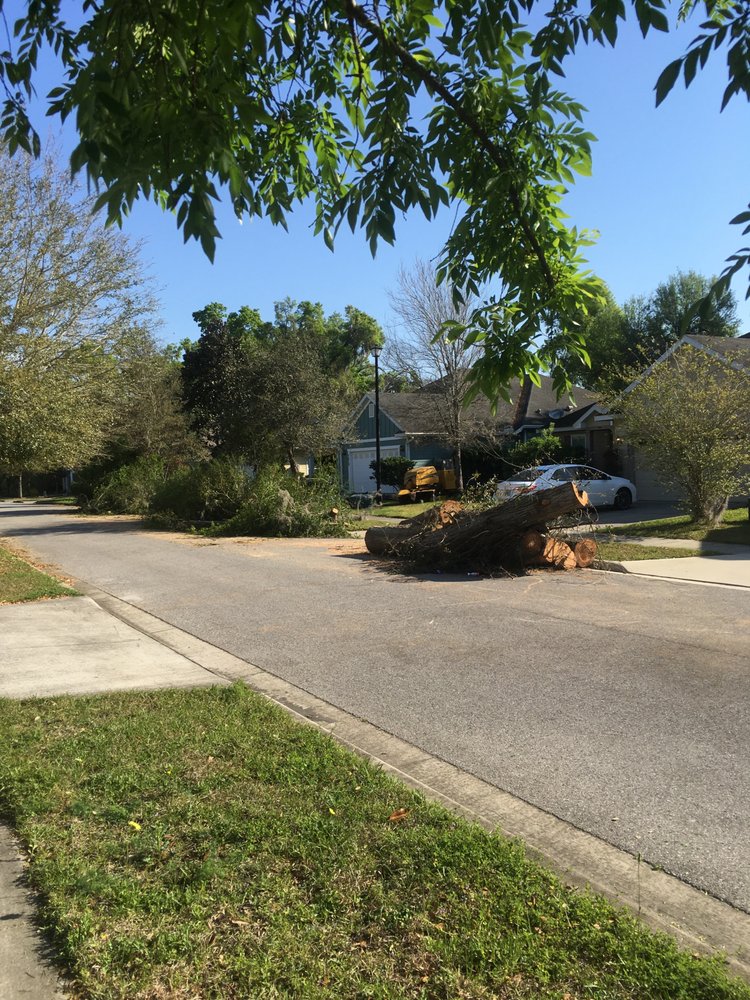 Camargo Lawn Care