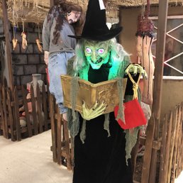 photos for the best halloween store ever yelp