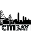 Citibay Painting