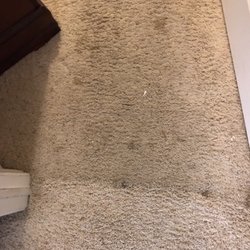 Elias Carpet Service 15 Photos 23 Reviews Cleaning Photo Of Elias Carpet Service Hemet Ca United States Clean And