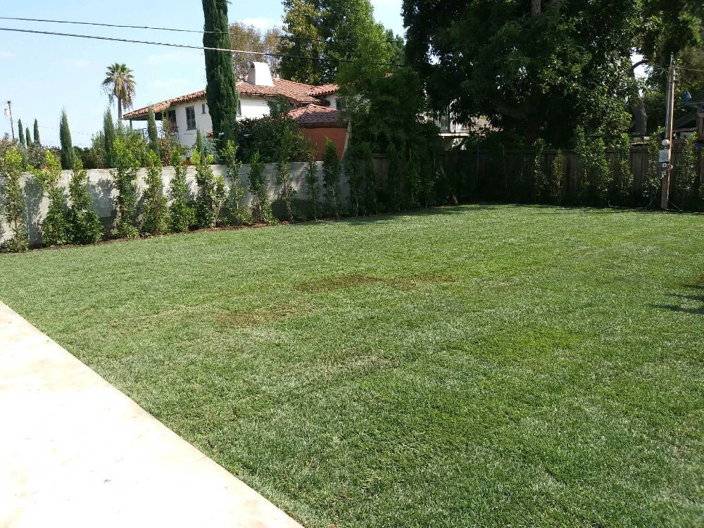 Solano Tree Service