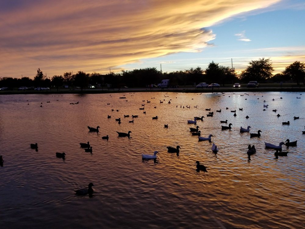 Kenner City Park Pavilion 59 Photos & 10 Reviews Parks 3800