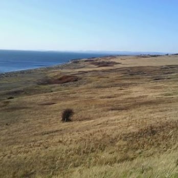 South Beach 16 Photos Beaches San Juan Island Wa Yelp Photo Of South Beach San Juan Island Wa United States The Bluffs