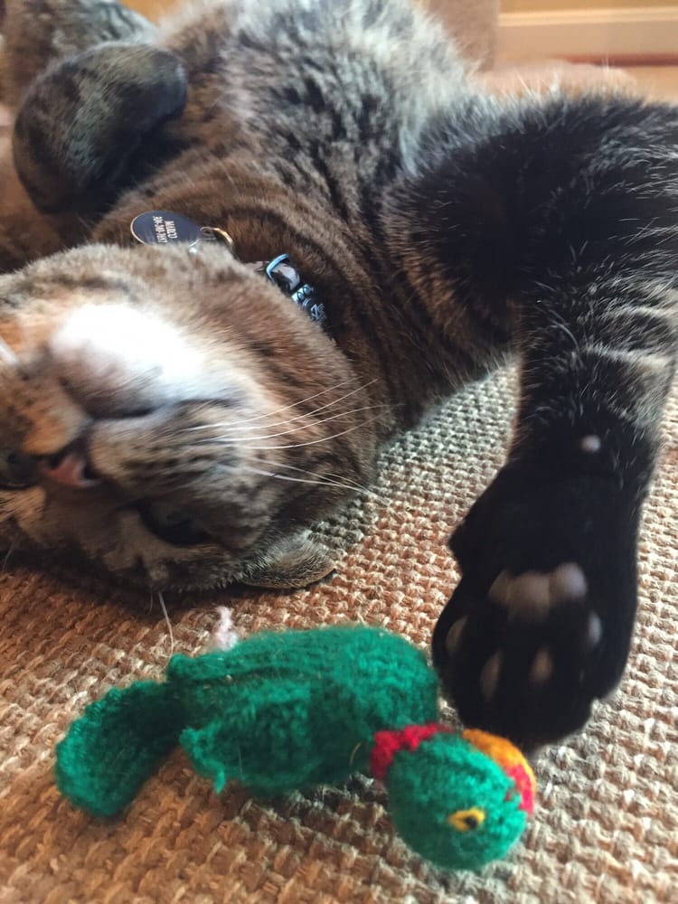 Pet Valu