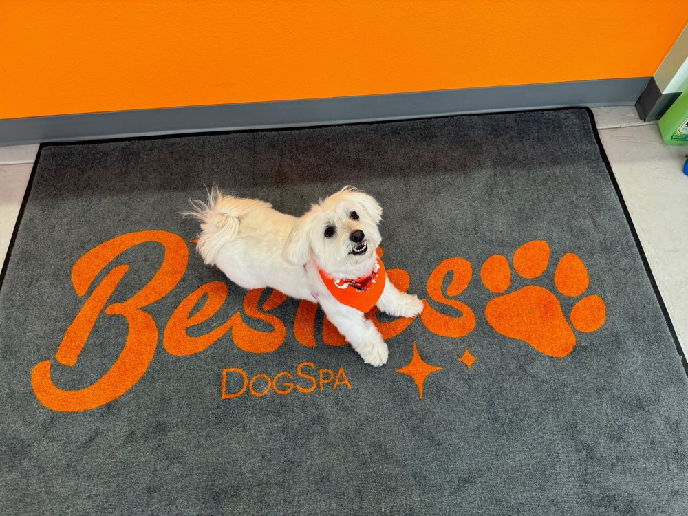 Besties DogSpa