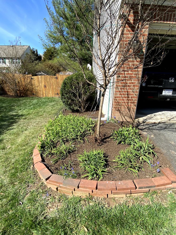 Jano Lawncare Services