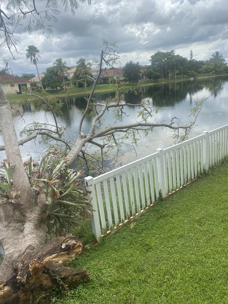 Parsons Tree Service