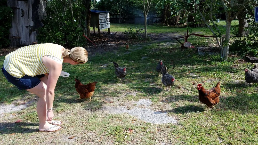 Peterson’s Groves Nurseries & Gardening 3375 66th Ave, Vero Beach