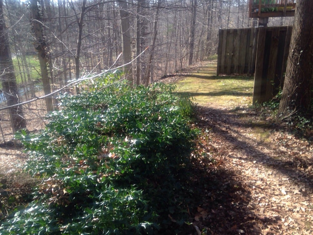 Harold Guzman's Landscaping