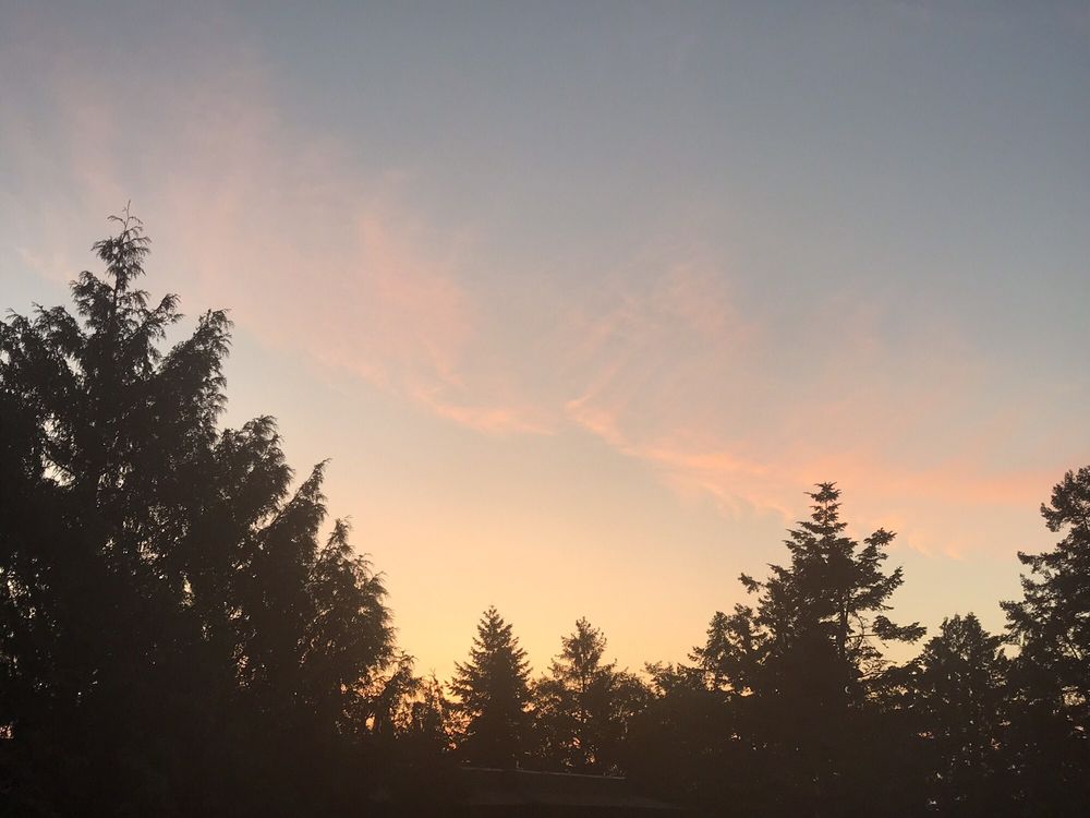 Casa Del Sol Apartments