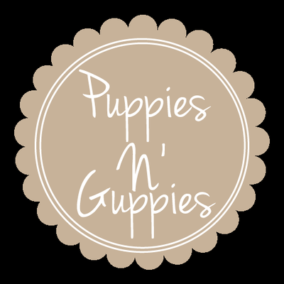 puppies n san puppies n guppies lukket dyrehandlere 3715 mission blvd san diego ca usa puppies n san puppies n guppies lukket dyrehandlere 3715 mission blvd san diego ca usa
