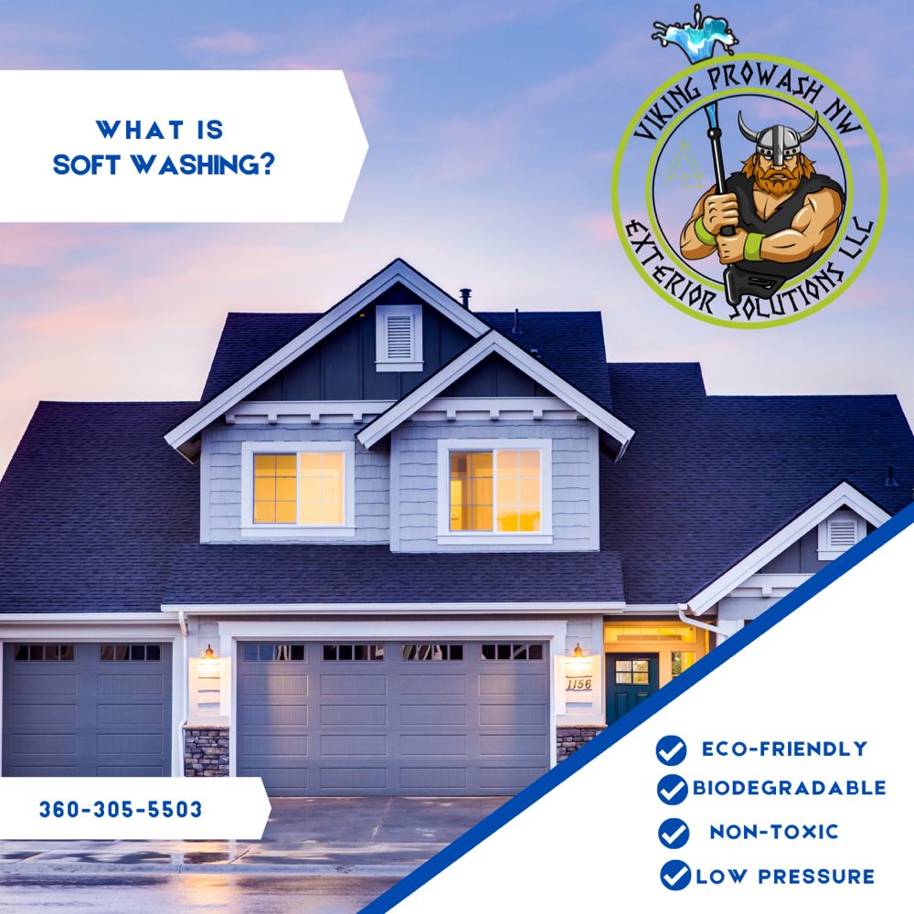 Viking ProWash NW Exterior Solutions