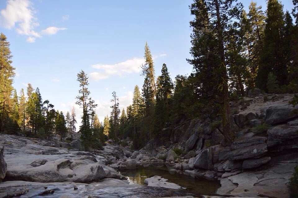 Dinkey Creek Campground 103 Photos & 54 Reviews Campgrounds 53001