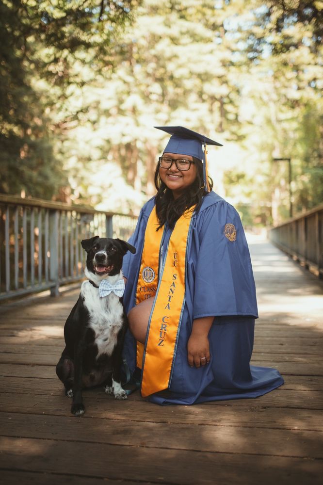Meg Mindlin Photography