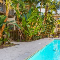 The Gallery Apartments 37 Photos 38 Reviews 414 Photo Of The Gallery Apartments Hermosa Beach Ca United States Swimming Pool