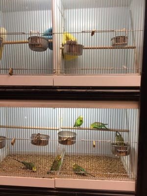 Feeders Supply 4600 Shelbyville Rd Louisville Ky Pet Supplies