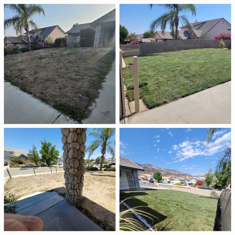 Navarro Property Care