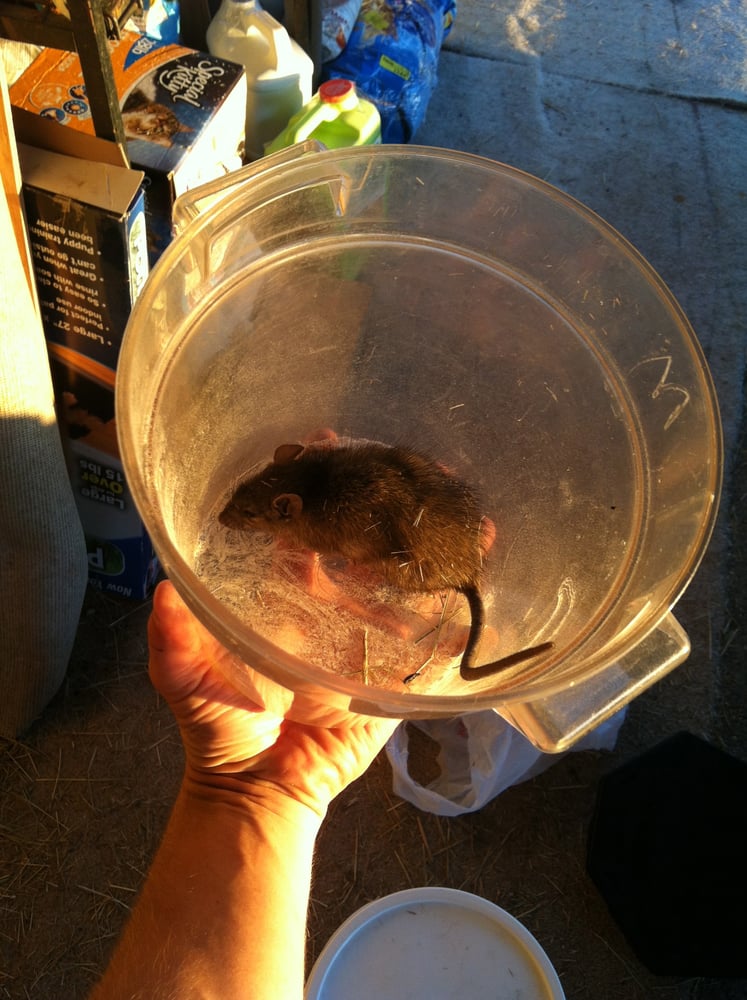 HappyEarth Pest Control