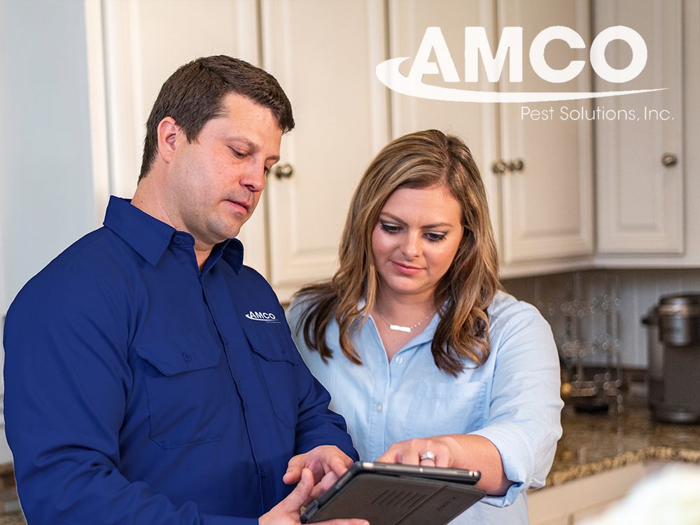 Amco Pest Solutions