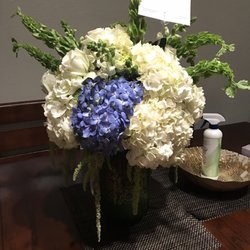 River Oaks Plant House 38 Photos 12 Reviews Florists 5930 Photo Of River Oaks Plant House Houston Tx United States My Florist