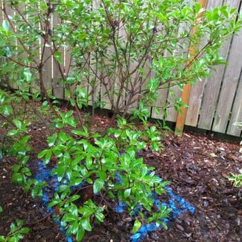 American Leak Detection Northwest 21 Photos 30 Reviews Photo Of American Leak Detection Northwest Snoqualmie Wa United States Blue Marking