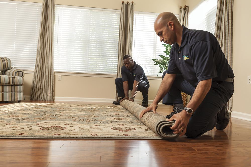 image of business ServiceMaster Cleaning & Restoration